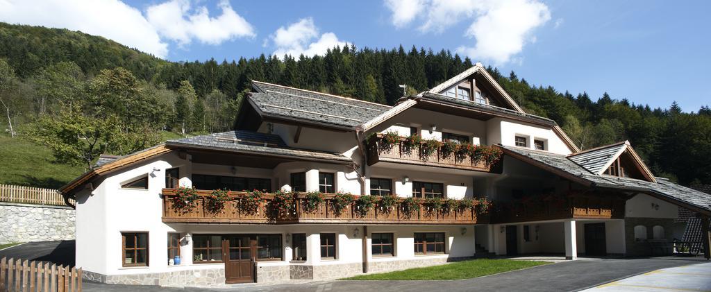 Apartments Pod Macesnovo Streho Solcava Room photo